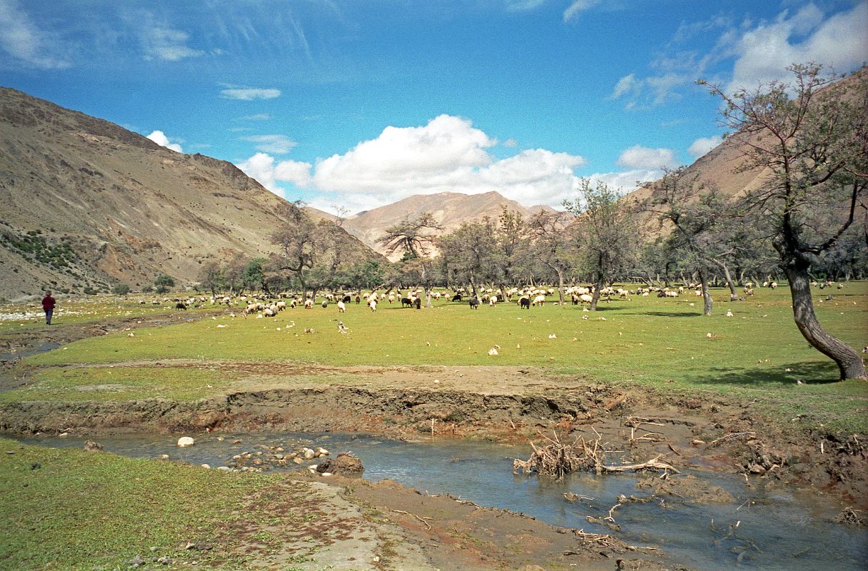 29 Beautiful Lunch Spot On Way to Kharta Tibet